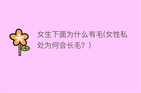 女生下面除毛|给私处脱毛更有利于健康？